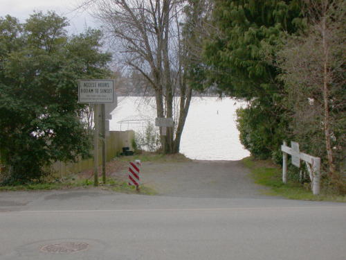Lower level fireplace